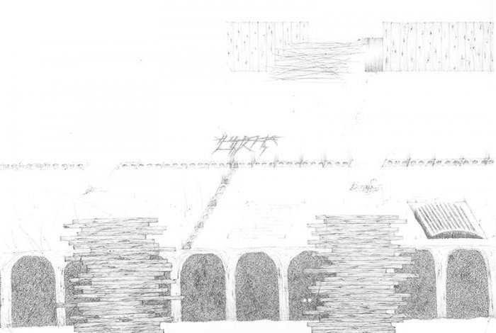 Biro on Paper